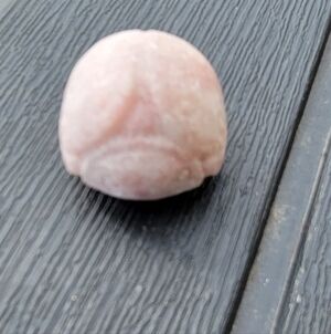 Pink Opal Lady Bug Crystal